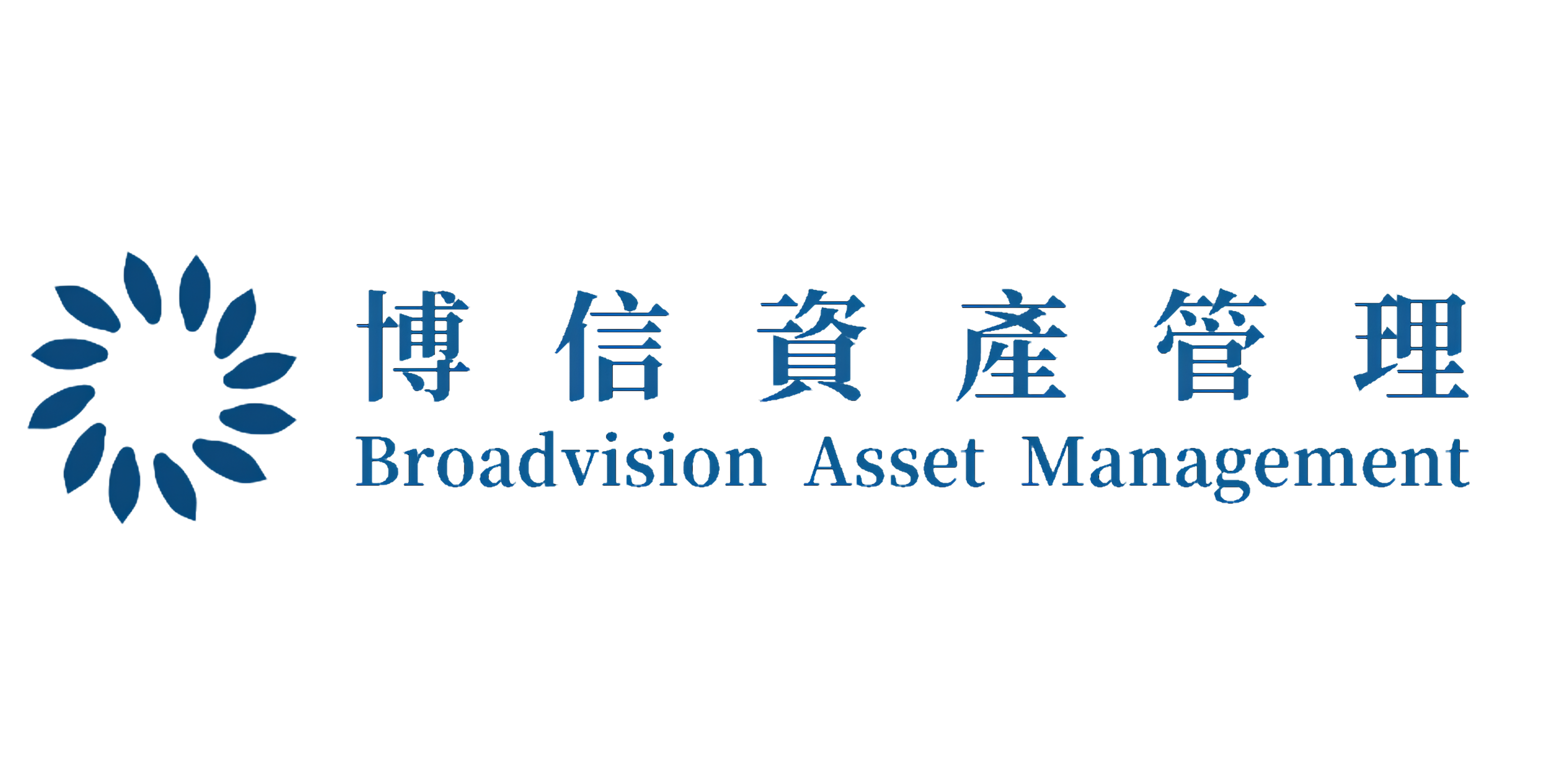 bv_logo.png